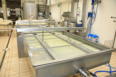 Project- Milk processing plants