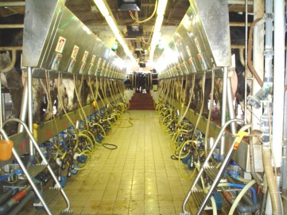 milk processing equipments